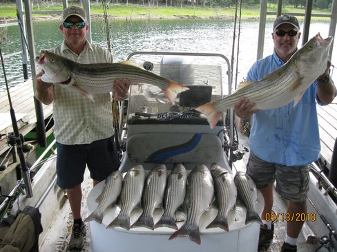 Nice Striped Bass